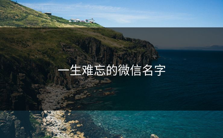 一生难忘的微信名字