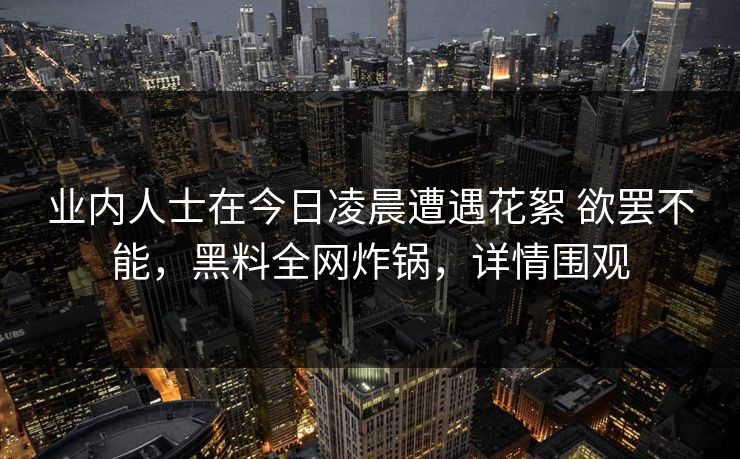 业内人士在今日凌晨遭遇花絮 欲罢不能，黑料全网炸锅，详情围观